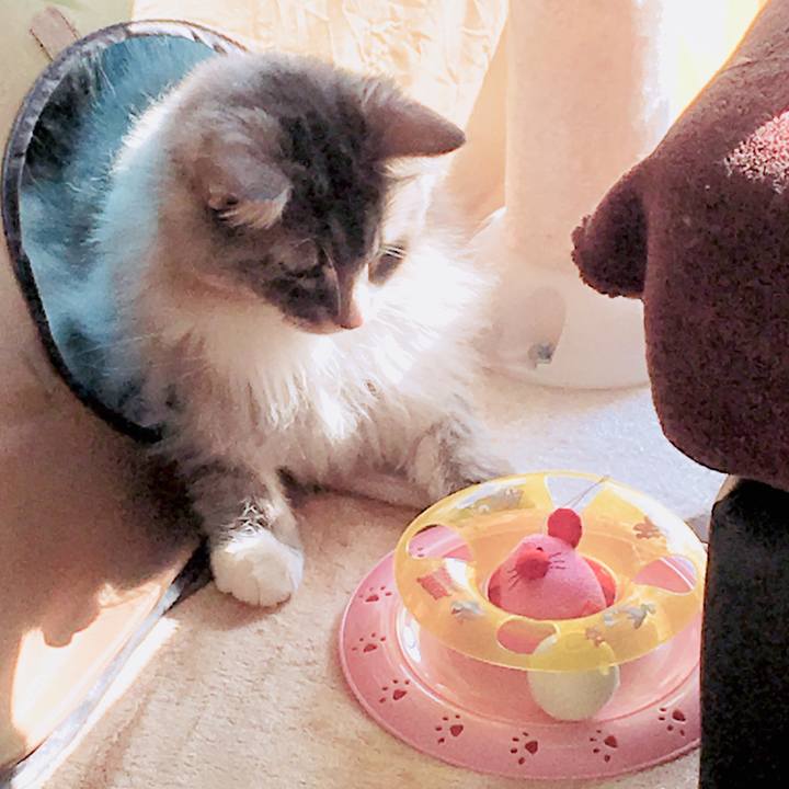 7568933b ae54 4925 bd99 d8ae1a2784b3 1519191281053