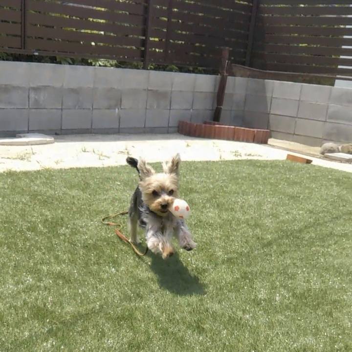 75689625 5299 4b80 be1b f0a1f0413b65 1559881437229