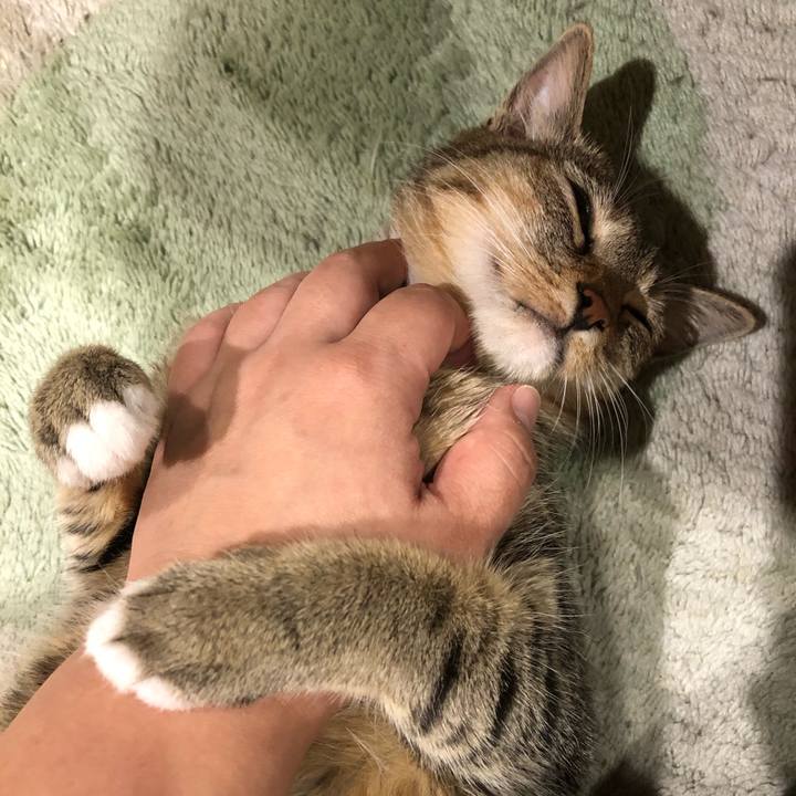 7568d162 226f 4763 8847 6f5f1198632d 1599911862681