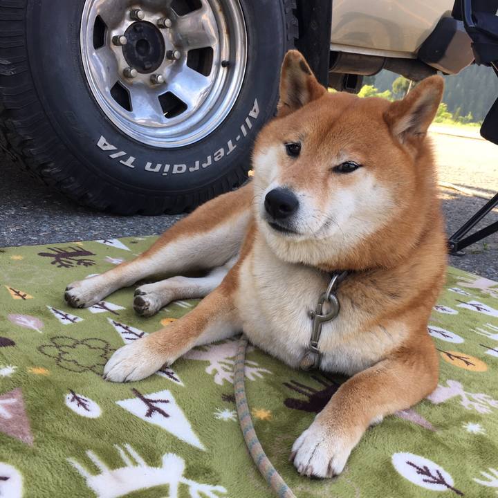 7568d648 0b88 445d 8ae4 140205e5523f 1558952215997