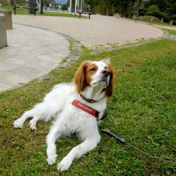 7568d6bc f0cf 4fc8 9cce 2f6aa094ccf3 1539688242133