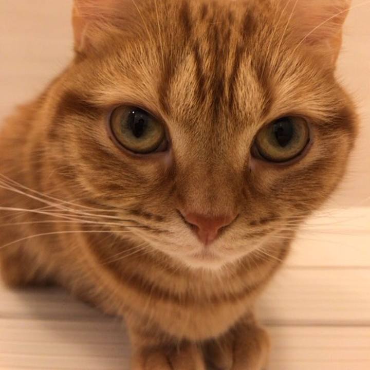 7568e981 c6ca 47f6 b1fb e574f2295f3e 1548765986823