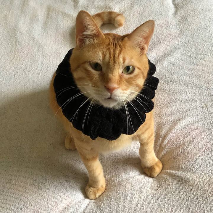 7568e9b2 7f37 4560 8891 3d7e95f8de22 1570253039922