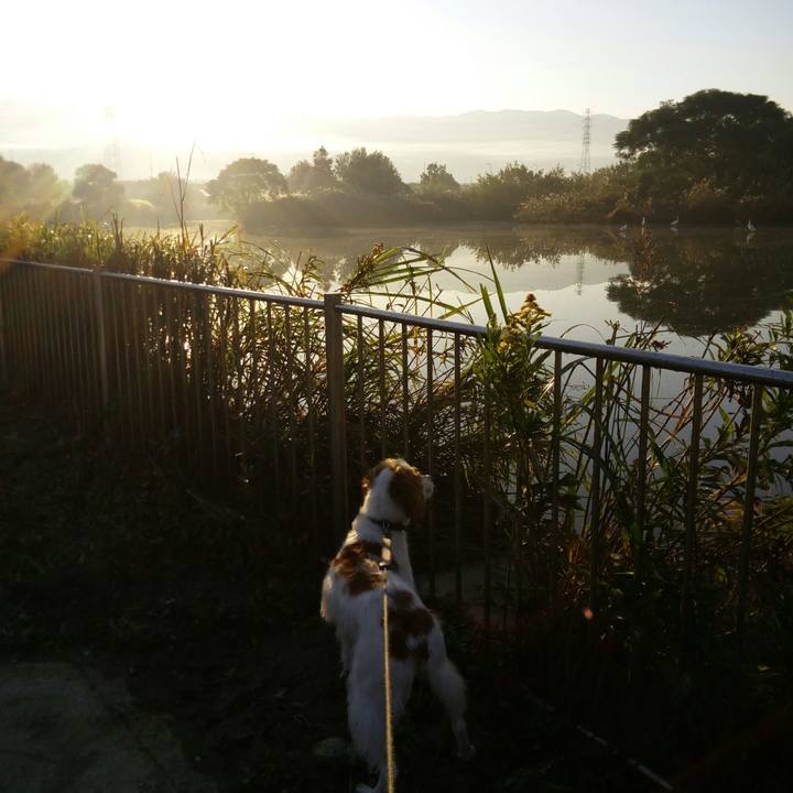 7568fe5e 77ea 4f49 bdd2 595f329568dd 1509928762816