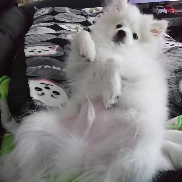 75690f3d 586d 4316 a1ad 3bb7e3d51487 1552027316408