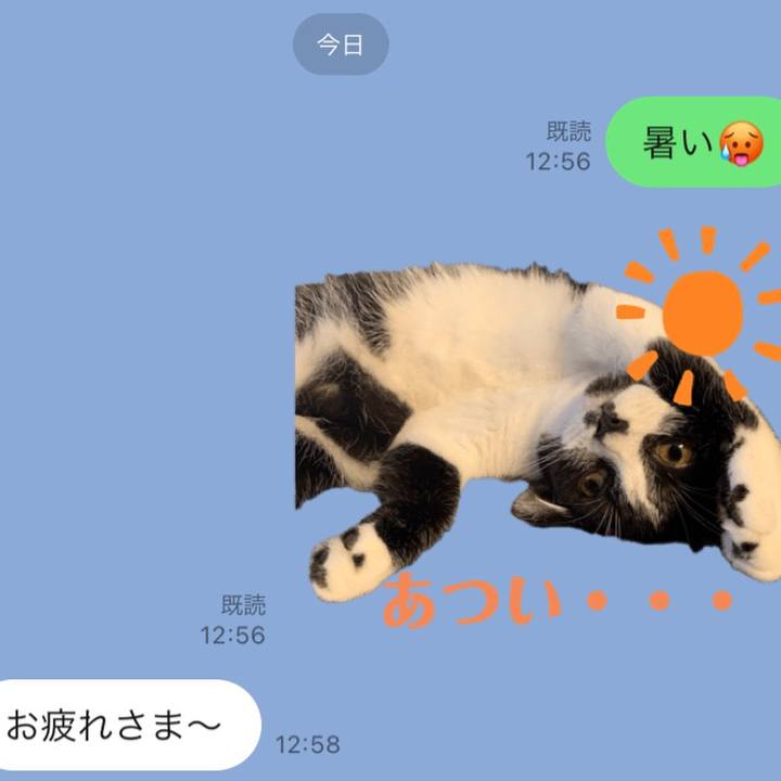 756948d2 e383 4c35 9ab5 29dadbdd935d 1723176248350