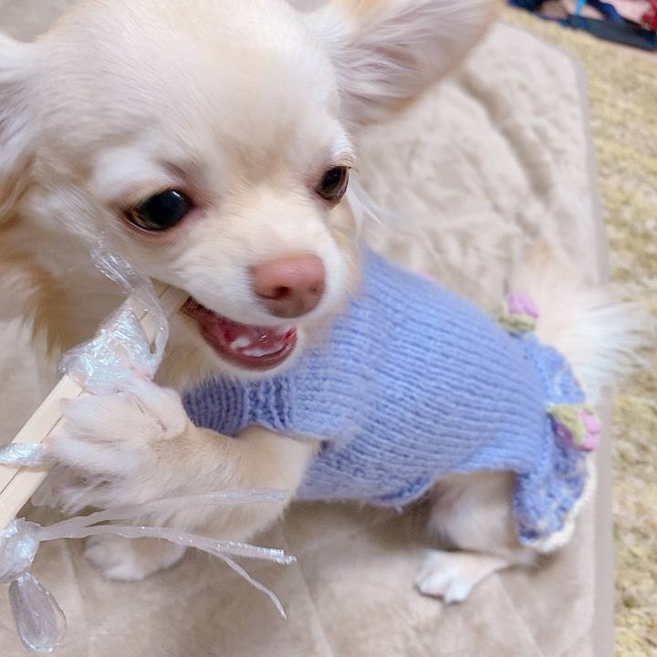 75694990 05fe 4ca9 8d94 d350a839fbd5 1615618019791