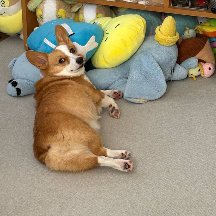 75696673 3eec 4cf3 92d3 dfd7aaec3e63 1771034667081