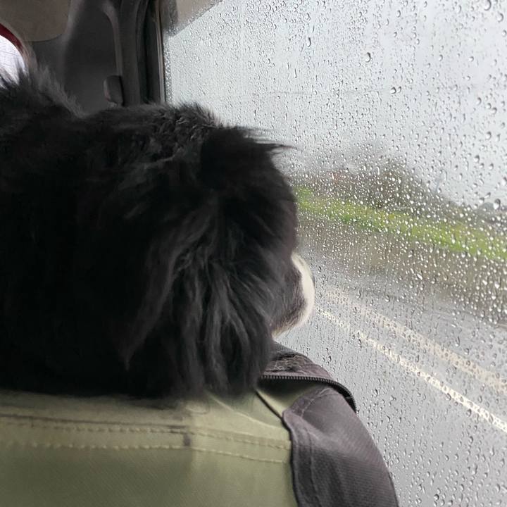 756967c2 7b40 4e56 8cd6 b29c6678579d 1616278454929