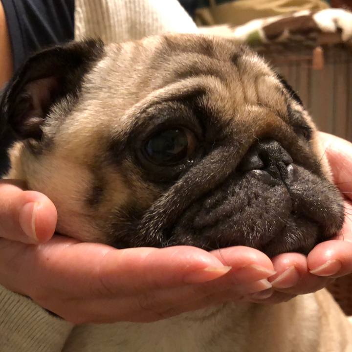 756979b6 8005 441d a9a8 43e713e7b1e5 1526128731648