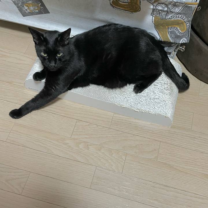 756985c5 5efe 40d8 94fc 7efe163e920b 1717682233683