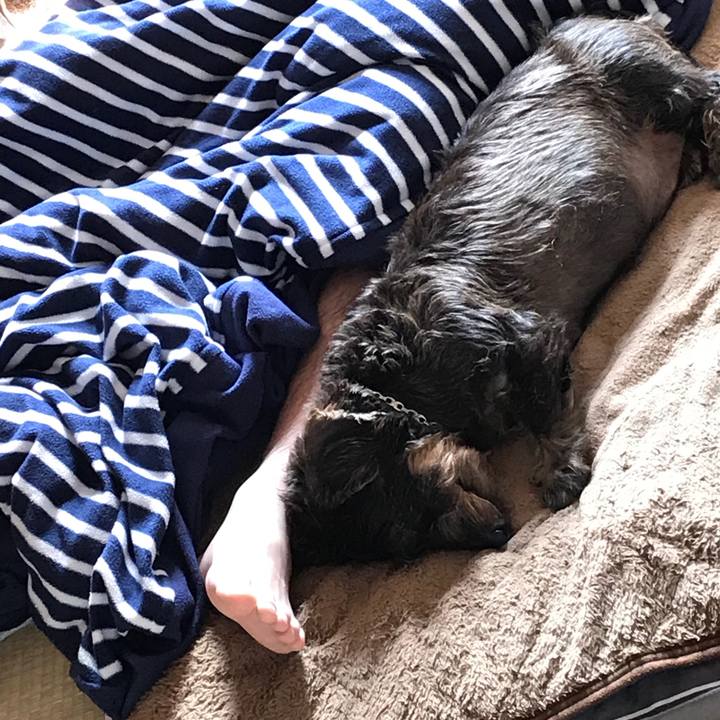 75698747 47f7 48e7 81e7 160e7d000cb1 1509851972815