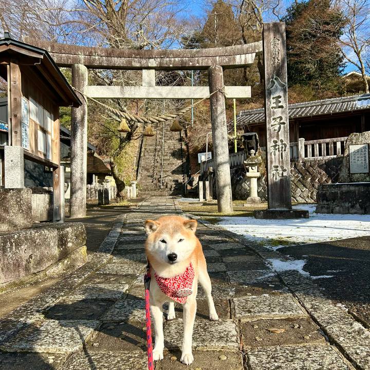 7569b2fa a51f 4be5 861b 2cbb6dacbea0 1736508309785