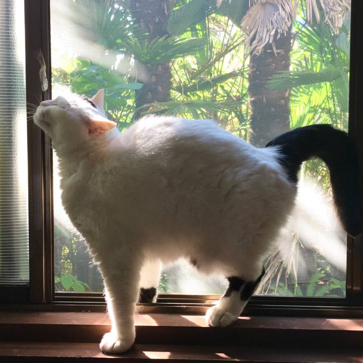 7569cc63 bd0e 4164 a2d6 8c40473e0b82 1590809393488