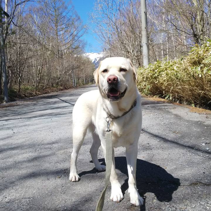 7569e415 9d0d 420a 96df 7dc52a7cabd5 1557280352806