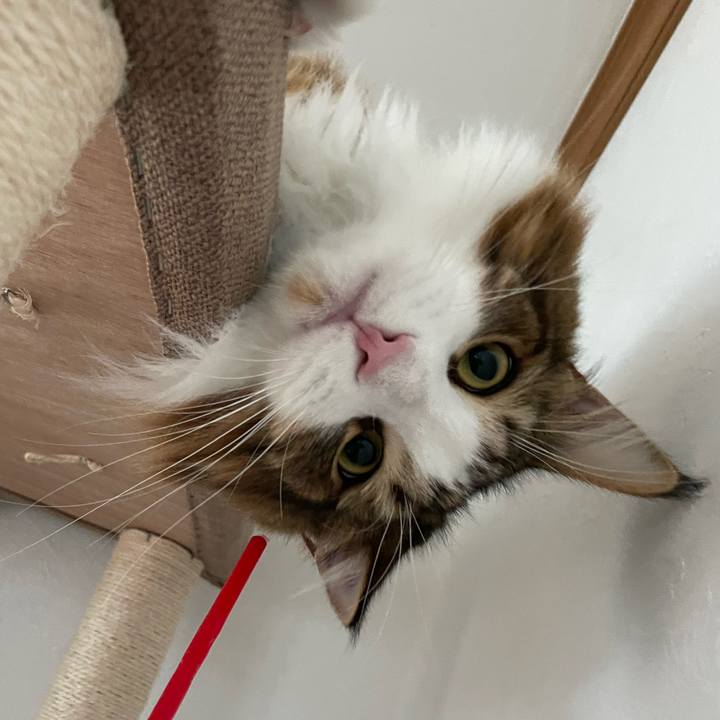 756a4f00 7bbf 4549 a55c 016b7bd2ccce 1660429265564