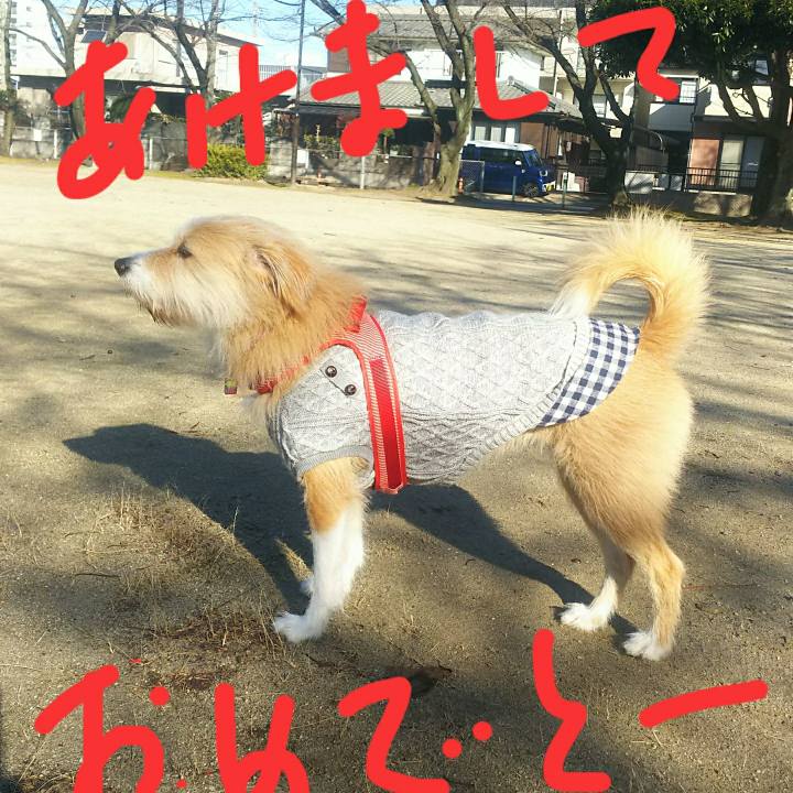 756a68d5 bab9 4a5a bc84 0658befacdd3 1514937688960