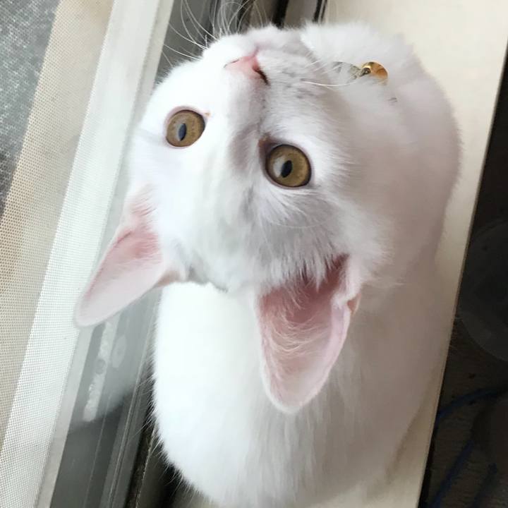 756a95ce 4df1 4a94 93fb 227dfffc4e27 1510102815098