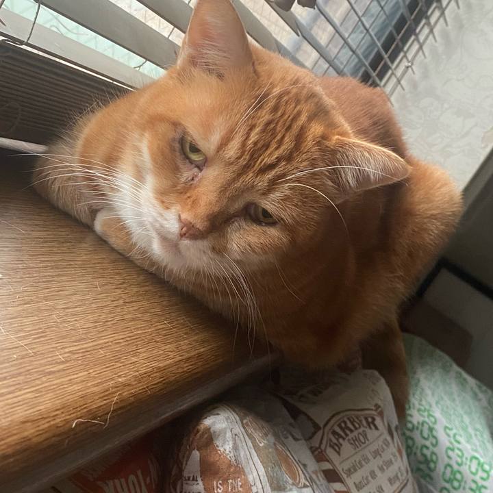 756ab627 8b35 468c 9906 76f2143fe72c 1666127596853