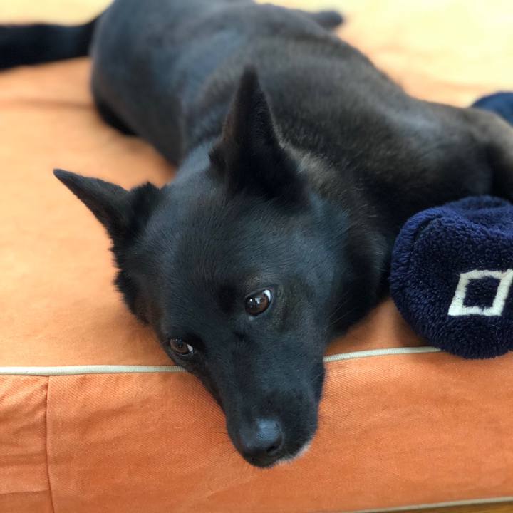 756abddf b2aa 4b47 bbcd 5a0e1ba59b8b 1559442226485