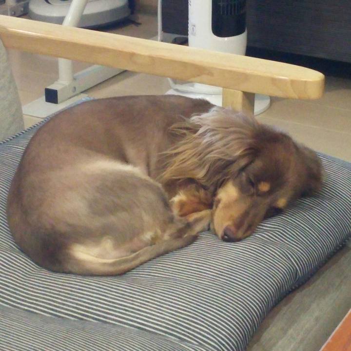 756ae08a 1d77 47bb a89b 122cdf06186c 1532144897159