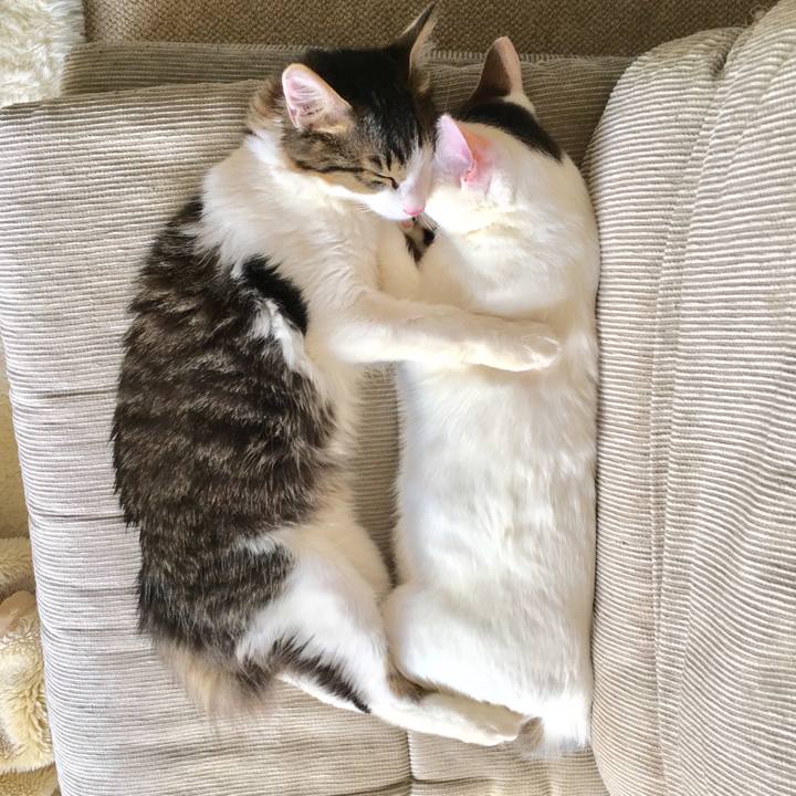 756ae9c1 0053 456a 917f 23c1ffd51d0d 1524294053573