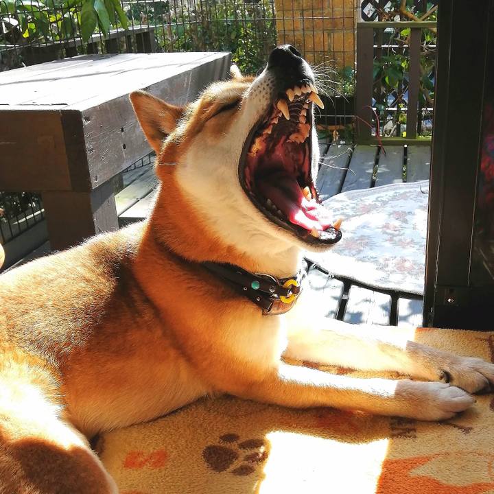 756b00b0 bcd3 4849 8b37 b144fca87cef 1582513934100