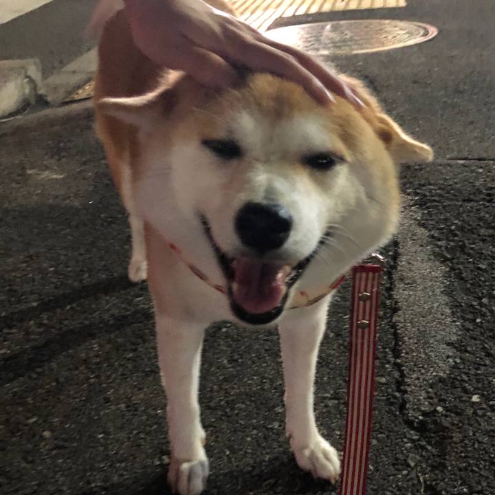 756b20a6 f4d9 4f12 b68a 39d5e171afc0 1565993565528