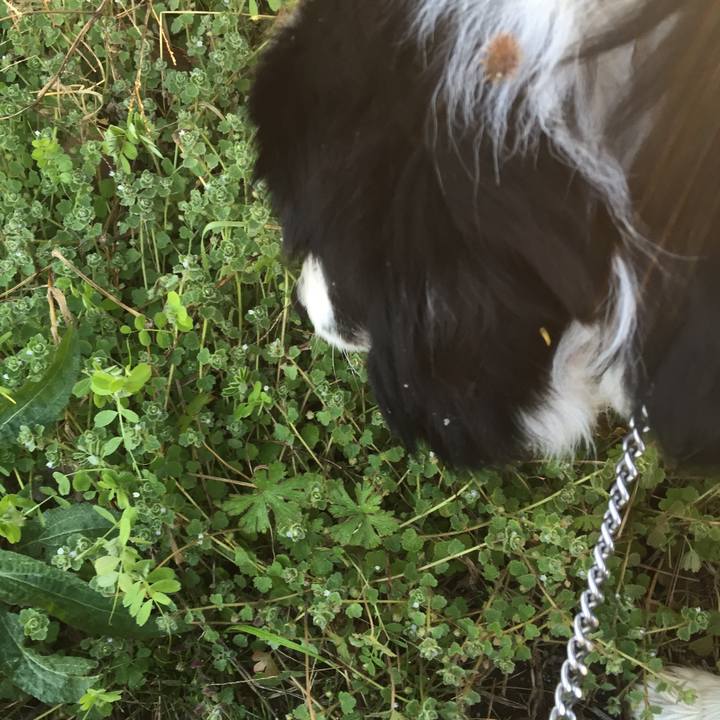 756b6ac2 99d4 425d 8f20 b171a3b93352 1552092356199