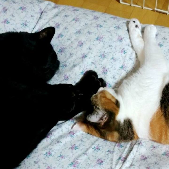 756bb3ca 9cbe 49b0 934e 102fb13b1242 1509457333660