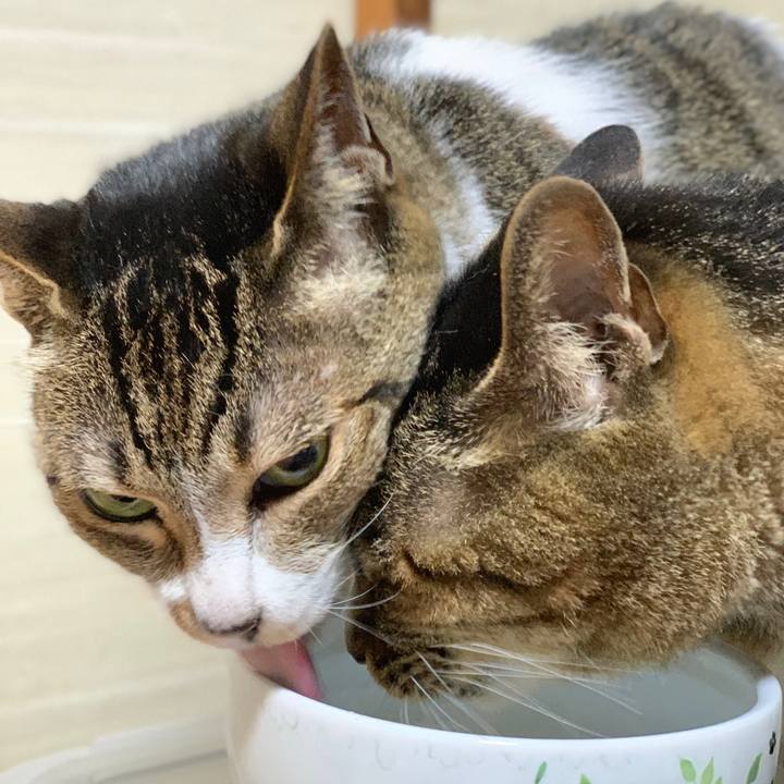 756c08c3 18df 42c6 97c4 49c74d6a5767 1594170533023