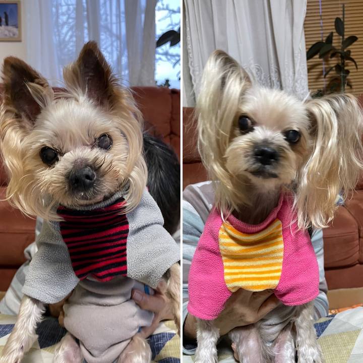 756c0e51 d7a7 429b 999c 5b070e3ea1d9 1704880367297