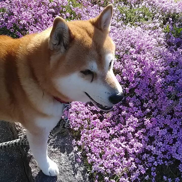 756c1f19 0579 4bdc aaa2 b3cc84dc0c46 1681083088393