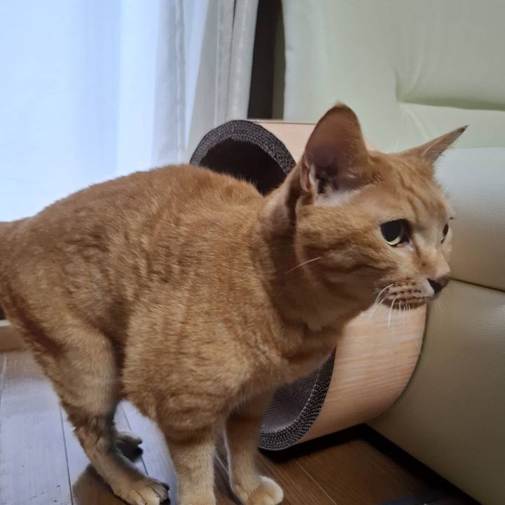 756c35bc 186c 41b4 8e2e 0a18a8790cf2 1753587443535