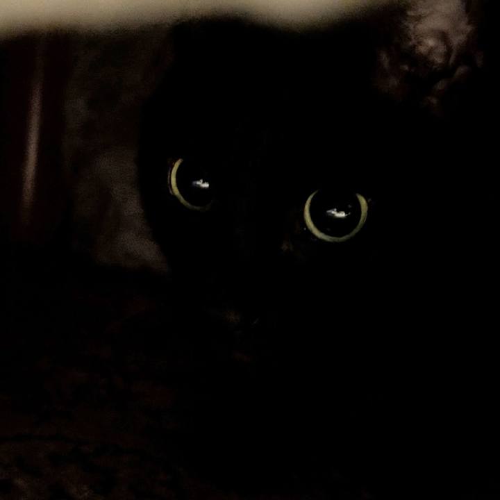 756c4e69 2536 4737 86bd 1bf3c78cc240 1764284864527