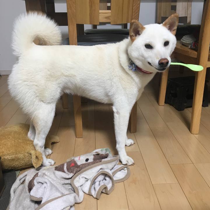 756c7332 477a 4cfc a9f6 9a0e8bd4e15d 1534206452179