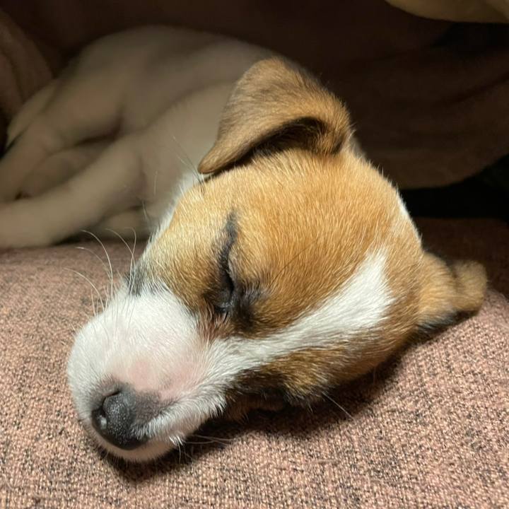 756ca5f1 e90c 4078 8995 28e8d79f0245 1615818034910