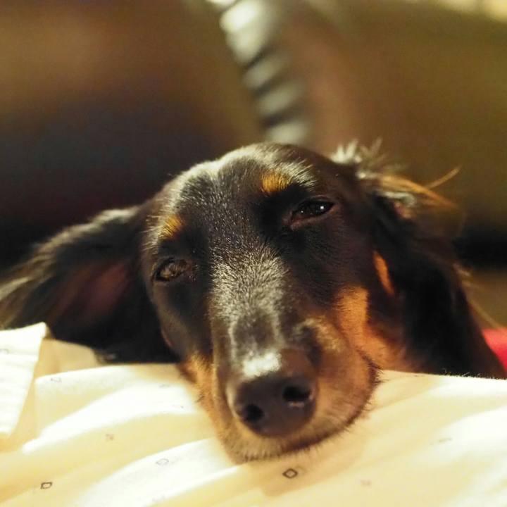 756cb478 0994 40e9 943f f4589ab3503f 1538307998152