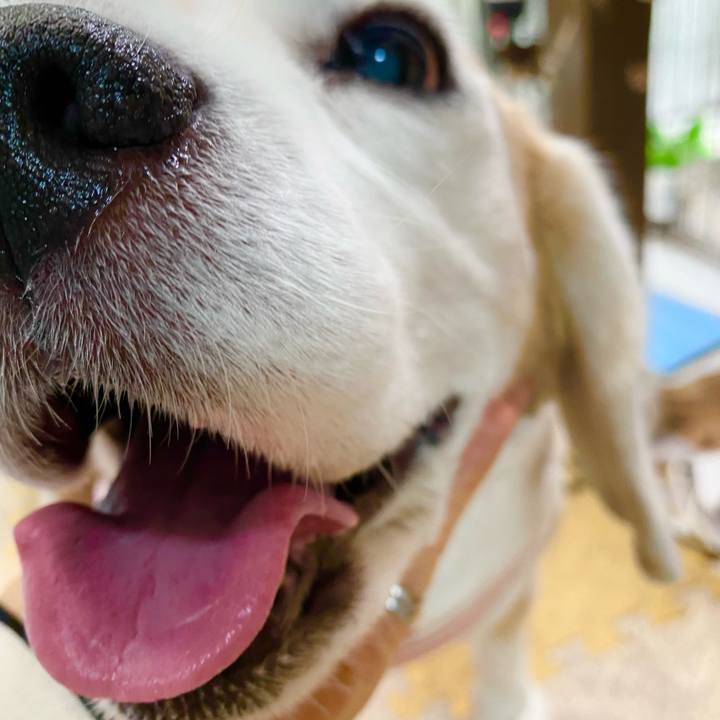 756cc96f f8e9 4d01 a328 41ae5b943bea 1654400342487