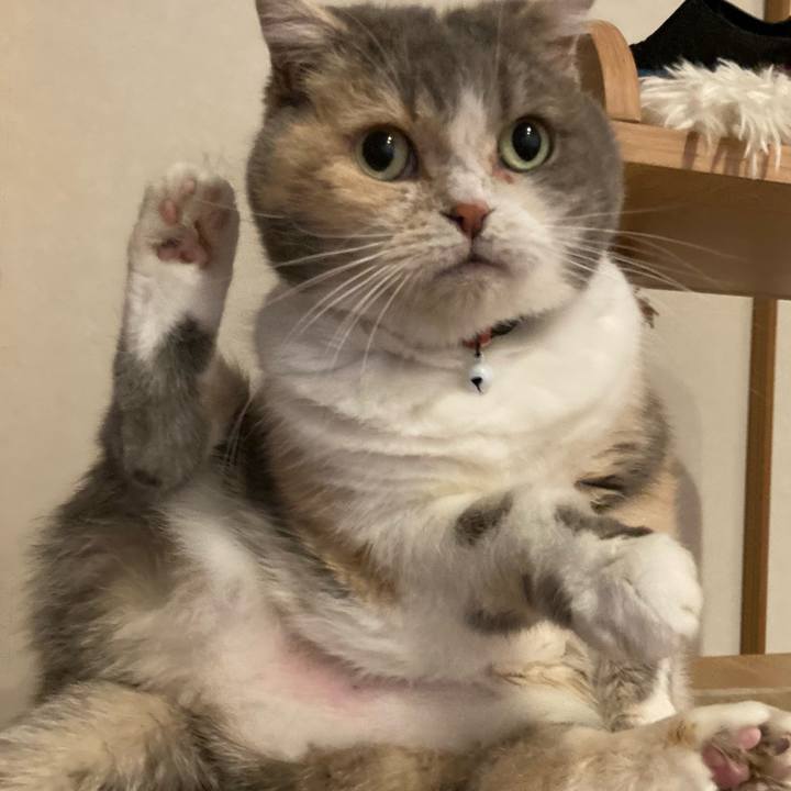 756d3588 d058 4240 984d d293d0bdeb08 1735597652211