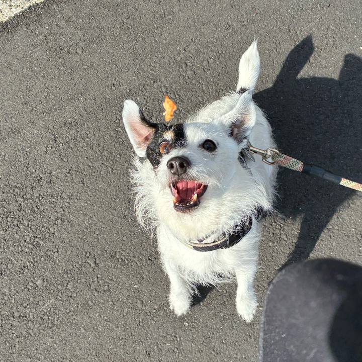 756d35dd f02f 459e a74b 7fb0dbf7253f 1771810401475