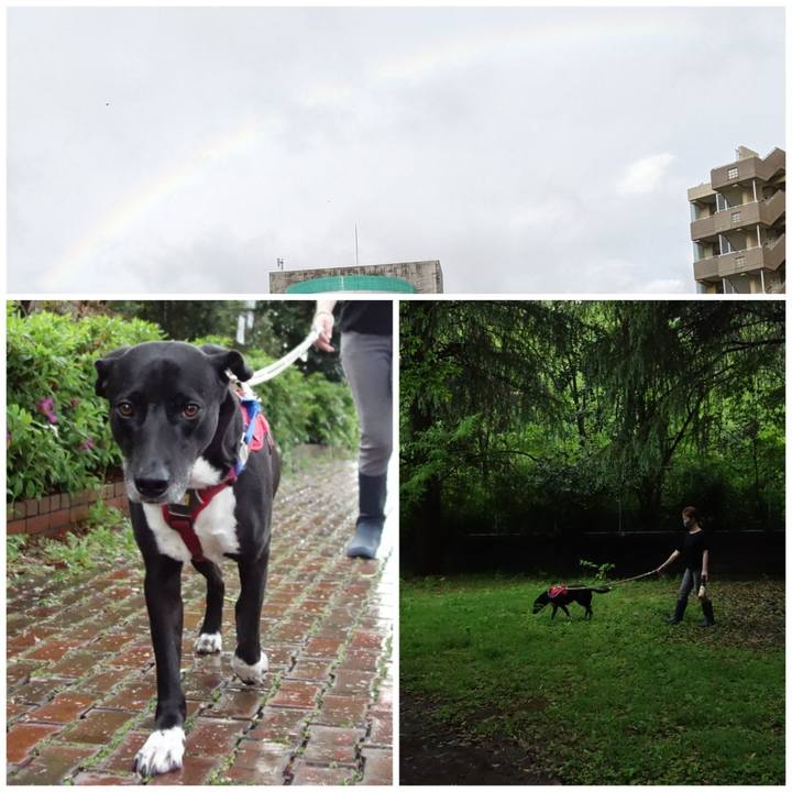 756d5218 c382 419c 8084 9de60584f92b 1650969776225