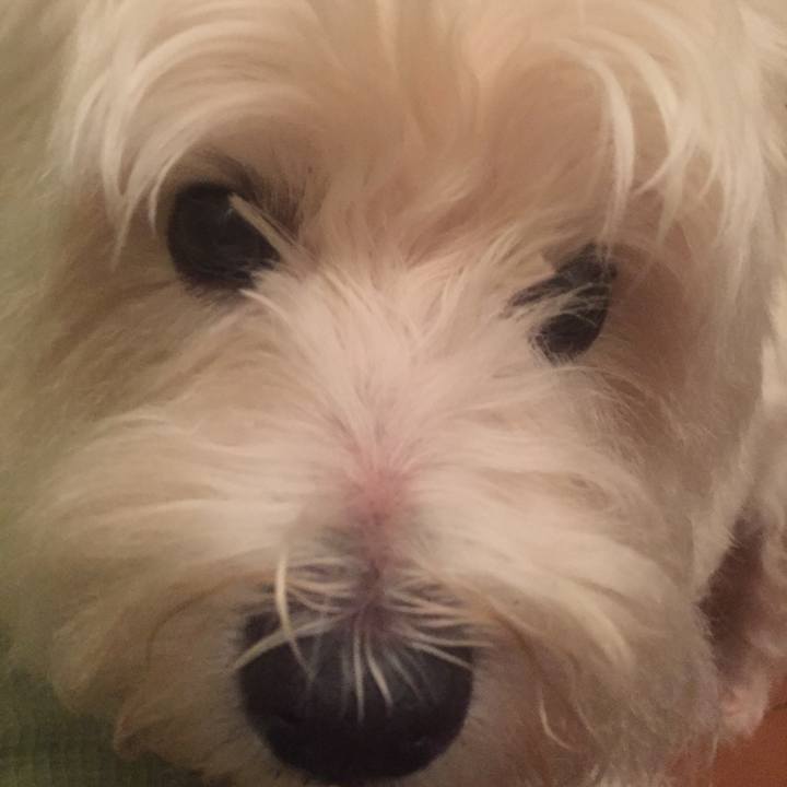 756d6619 1673 49a0 862c 94dfa2eb8651 1536540788094