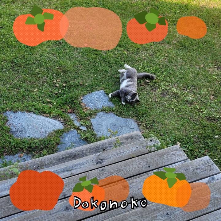 756db9b0 8fdf 4b7b a4cf 114f52e9c6c5 1761448609828