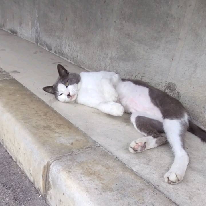 756dd91f b745 431a bf4c 8c198cd0d756 1627179539931