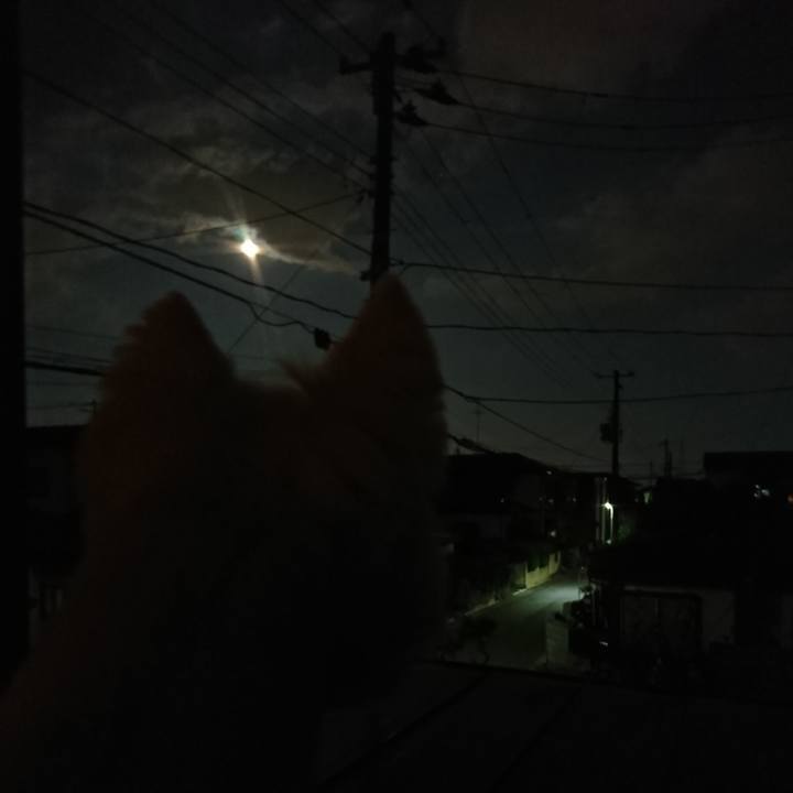 756e1466 b1f9 4244 ac85 13f5757fbdad 1532603468834