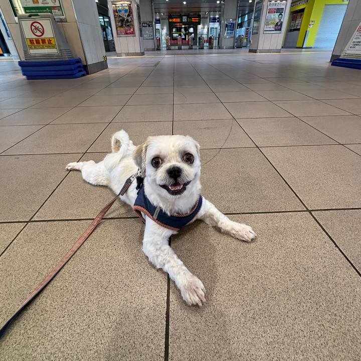 756e2e47 d845 4363 8daf 0dc9138fd3d2 1757972622272