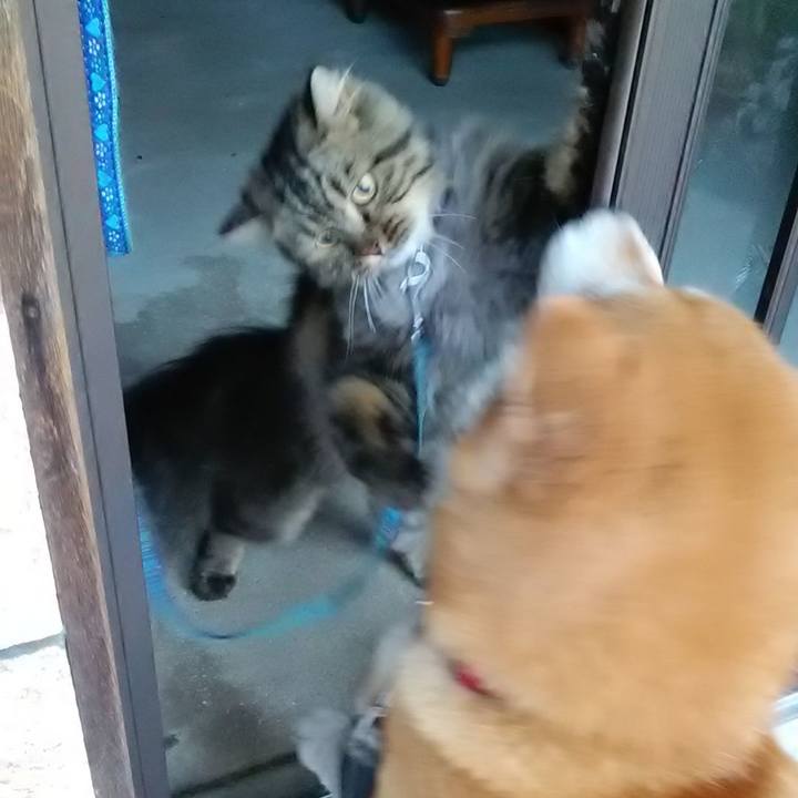 756e3162 43b1 44ce 8cb3 1f68c8756be2 1630453390495