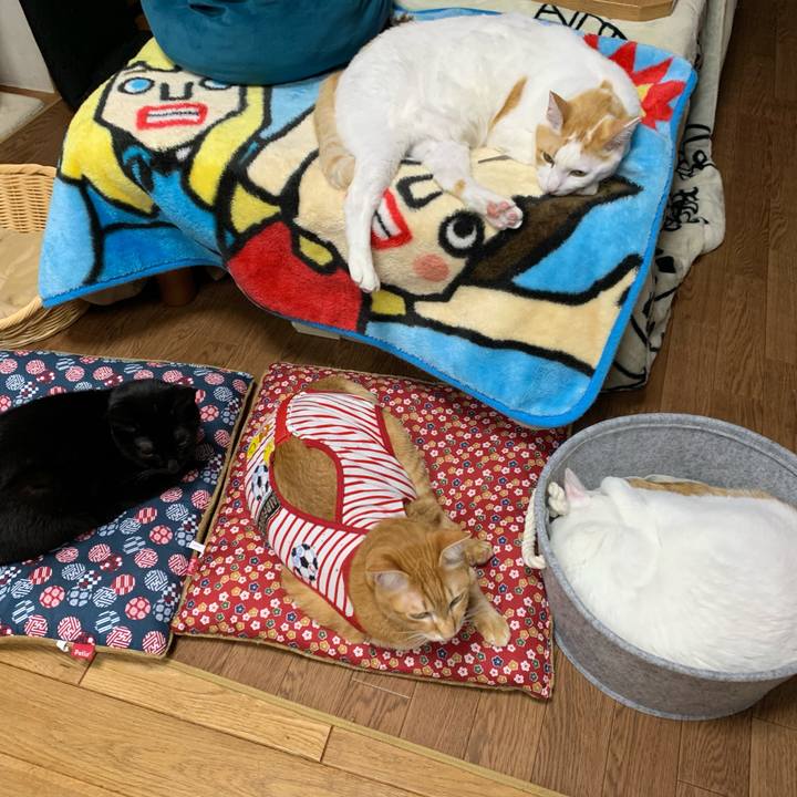 756e317b e7c7 403d 8cae 32d83e7050ae 1578656719831