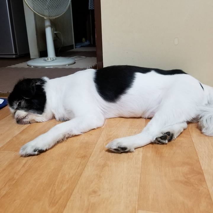 756e3855 b292 4d11 bd19 58f6b2913ce0 1570279340076